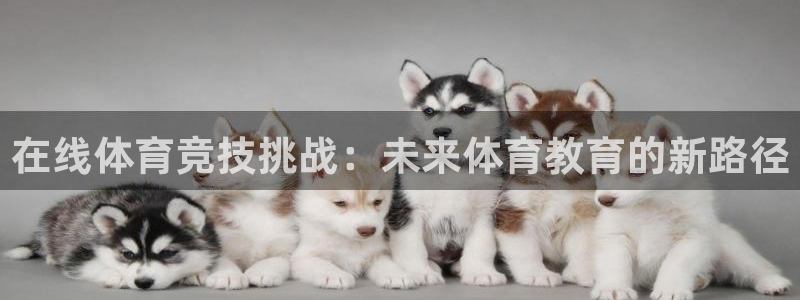 绿茵体育在线观看：在线体育竞技挑战：未来体育教育的新路径
