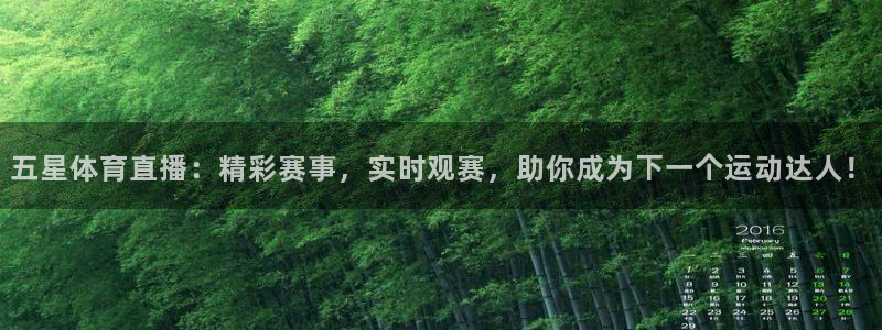 绿茵体育直播间：五星体育直播：精彩赛事，实时观赛，助你成为下一个运动达人！