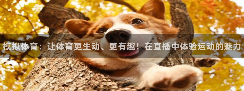 绿茵体育直播免费观看：模拟体育：让体育更生动、更有趣！在直播中体验运动的魅力
