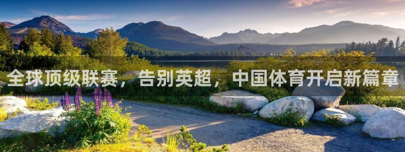 绿茵体育live直播：全球顶级联赛，告别英超，中国体育开启新篇章