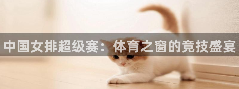 绿茵足球：中国女排超级赛：体育之窗的竞技盛宴