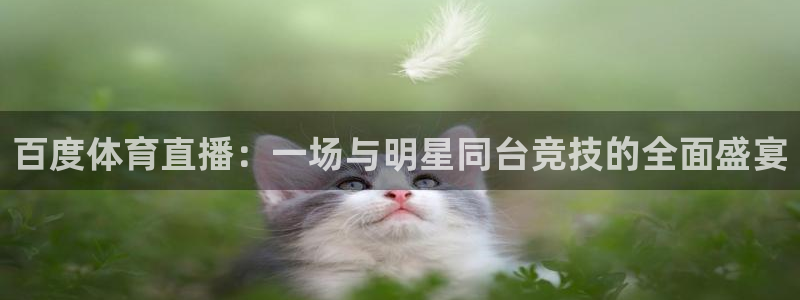 绿茵直播体育免费观看高清：百度体育直播：一场与明星同台竞技的全面盛宴