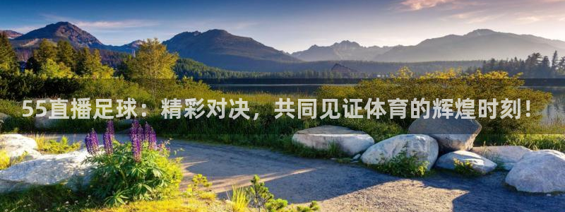 绿茵直播体育免费观看：55直播足球：精彩对决，共同见证体育的辉煌时刻！