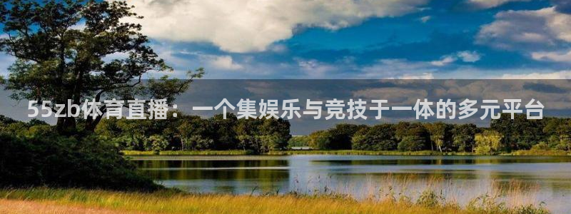 绿茵nba直播：55zb体育直播：一个集娱乐与竞技于一体的多元平台