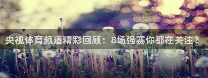 足球比赛绿茵直播：央视体育频道精彩回顾：8场强赛你都在关注？