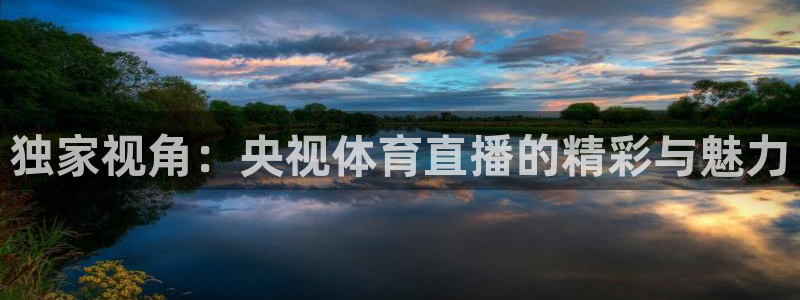 绿茵足球视频：独家视角：央视体育直播的精彩与魅力