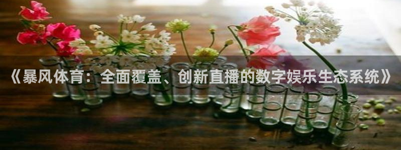 绿茵体育直播cba：《暴风体育：全面覆盖、创新直播的数字娱乐生态系统》