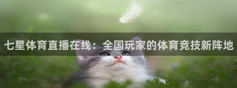 绿茵直播官网：七星体育直播在线：全国玩家的体育竞技新阵地