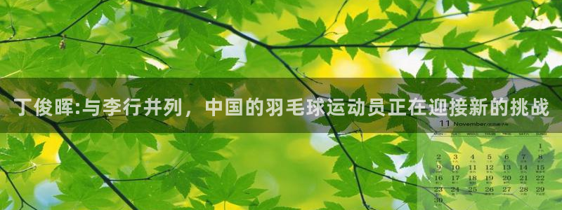 绿茵足球吧